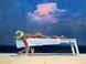 Relajaci&oacute;n de agosto &middot; Mariia Zhurykova &middot; 50&times;70 cm &middot; L&aacute;mina art&iacute;stica AP.21.2 фото 3